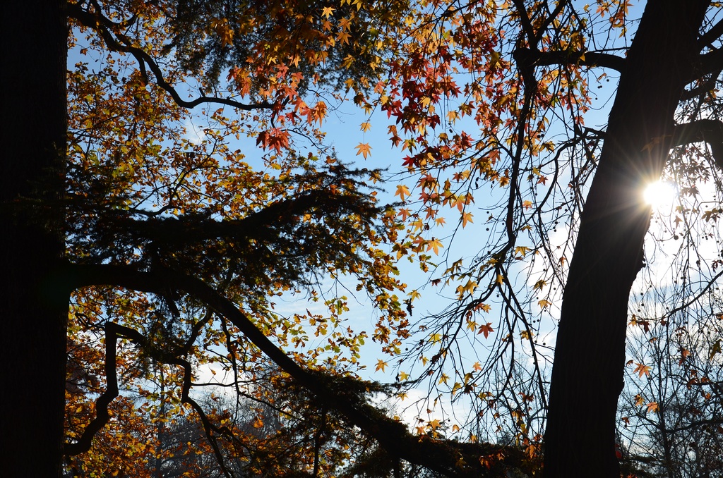 2016-12-10 Bordeaux/City center/DSC_0012.JPG